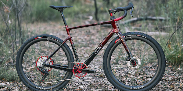 Gothic Cycles carbon gravel bike, custom built, photographed in a dark and leafy forest