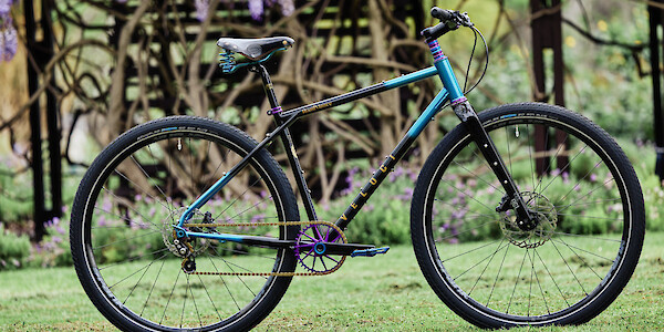 Custom-built steel Veloci Roadmance gravel bike with a blue/black airbrushed frame and blue and purple accents, against a purple wisteria backdrop
