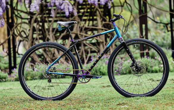 Custom-built steel Veloci Roadmance gravel bike with a blue/black airbrushed frame and blue and purple accents, against a purple wisteria backdrop
